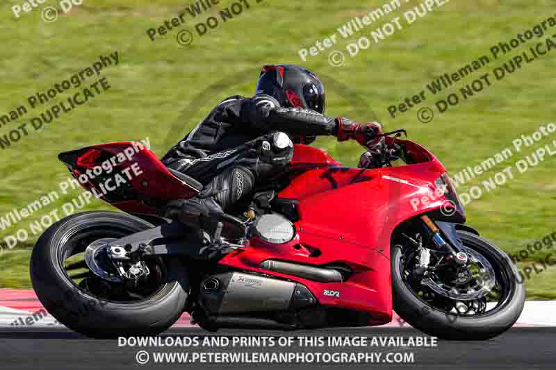 Circuito de Navarra;Spain;event digital images;motorbikes;no limits;peter wileman photography;trackday;trackday digital images